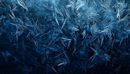 Intricate Frost Patterns on a Cold Winter Window