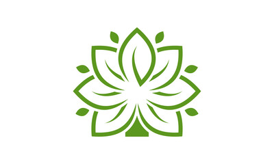 Obraz premium Leaf of Life