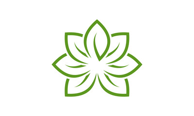 Obraz premium Leaf of Life