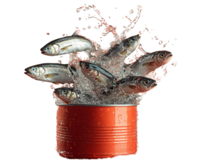 Fish splashing from a red tin can.