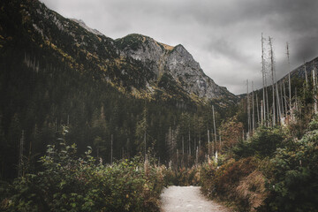 Dolina Pięciu Stawów Polskich - Tatry  © Radosław Dybała