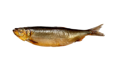 A fish is shown in a white background