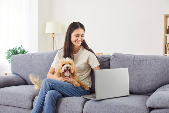 Happy woman watching online laptop, happy girl holding cute pet puppy at home, enjoy time together with small pedigreed dog on sofa, searching for vet information, friends in internet social network