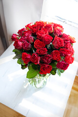 Bouquet of red roses in glass vase near the window in the sunny morning. Congratulation concept.