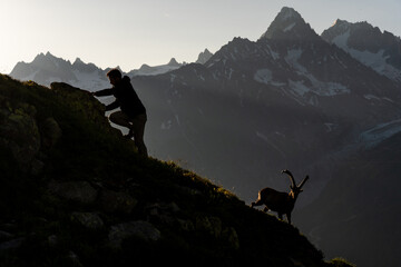 Male climber climbs while being watched by an alpine ibex high up on the mountain
