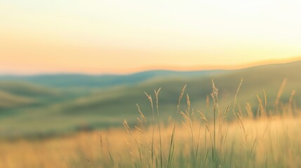 Softly Lit Grassy Field Rolling Hills Sunset Landscape