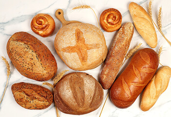 Freshly baked whole grain homemade bread, different types of round sourdough bread with crispy crust, baguettes, buns and ears of wheat on marble background, modern baking concept,