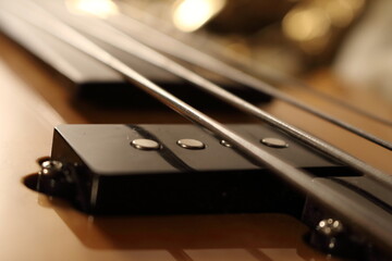 Fretless Groove The Heart of the Bass