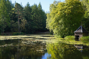 Loch Dunmore in Faskally forest northwest of Pitlochry	