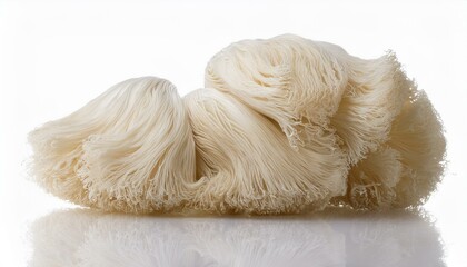lion s mane mushroom on a white background