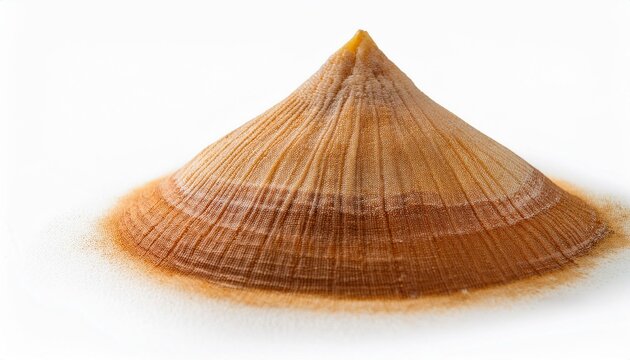raw mandioquinha or arracacha isolated over white background