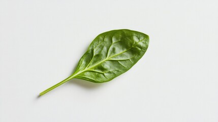 Fresh Green Spinach Leaf on White Background for Healthy Living