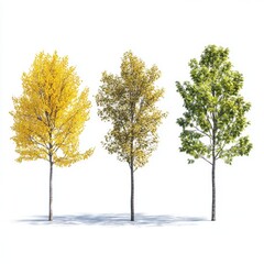 Fototapeta premium Group of Yellow and Green Trees on White Background - Fresh and Natural Nature Scene