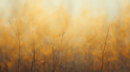 Obraz premium Golden Hour Grassland Dreamy Atmospheric Field