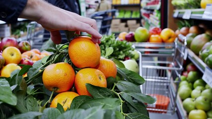Hand selecting ripe oranges, checking freshness and color in well stocked produce aisle with bright, organized display. Buying oranges in the market