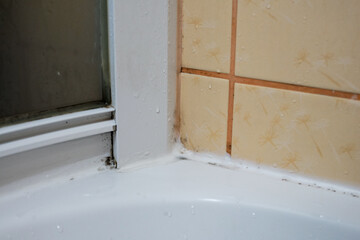 Mold and dirt in bathroom corner