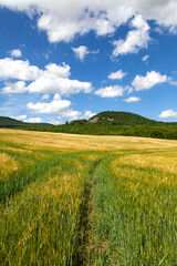 View of the landscape of the Czech Central Mountains, Czech Republic