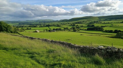 Obraz premium Lush Green Field and Stone Wall Rural Landscape Under Partly Cloudy Sky