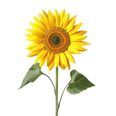 Fototapeta premium Bright sunflower with vibrant yellow petals and green leaves, symbolizing joy and positivity. Perfect for nature themed designs