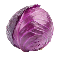 Fototapeta premium Harvesting fresh red cabbage local farm produce photography outdoor close-up nutrition, isolated on white or transparent background