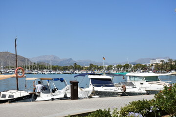 boats in the harbor