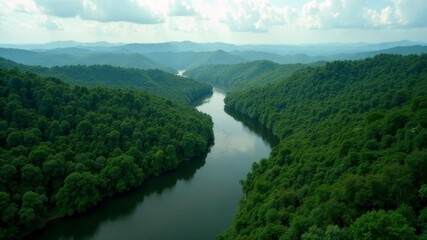 river among endless green forest. view from above
