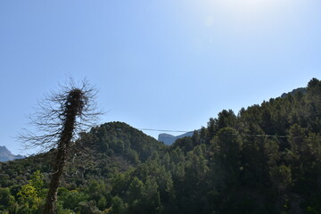 Obraz premium natural scenery