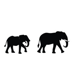 Fototapeta premium elephant silhouette vector