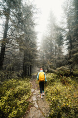 Obraz premium Liptov region hiking in jasna in Low Tatras mountains landscape, slovakia.