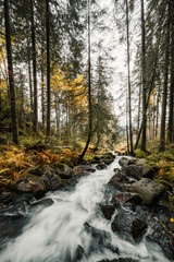 Liptov region hiking in jasna in Low Tatras mountains landscape, slovakia.