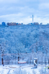 Fototapeta premium park, playground and town in blue winter dusk