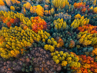 Liptov region with Tatras mountains around. Liptovska mara dam landspace. autumn deciduous forest view from above