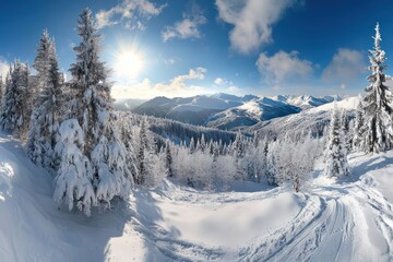 Snowy Mountain Landscape with Fir Trees and Sunlight
