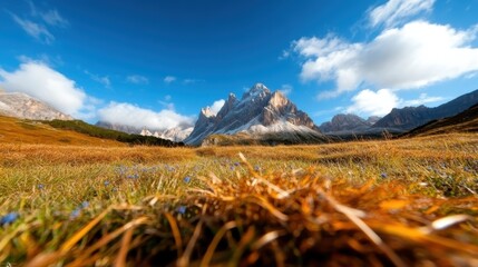 An enchanting view of majestic mountains framed by lush meadows and vibrant skies, inviting the viewer to explore the serenity and beauty of nature.