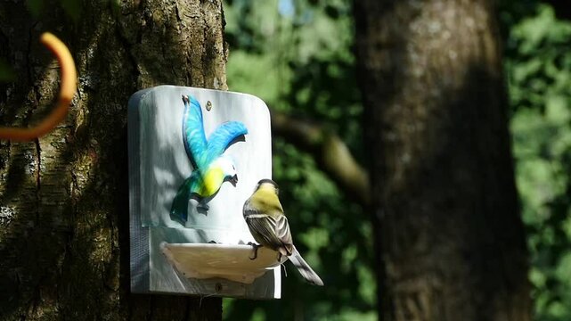 a bird perched on a tree