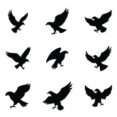 Eagle vector silhouette,Silhouettes of wild birds in flight,Vector silhouettes eagle,Bald Eagle Silhouettes