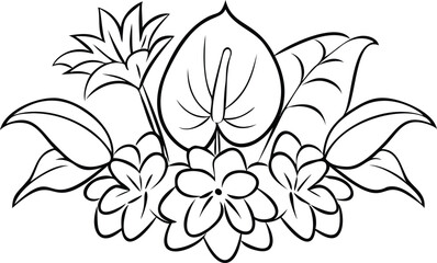 Anthurium and botanical flowers are combination line art vector book design 
