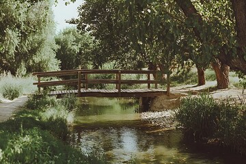 Obraz premium Serene Wooden Footbridge Spanning Tranquil Stream in Lush Green Park