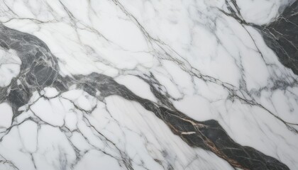 Obraz premium stylish calacatta white marble heritage