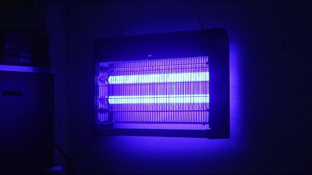 Electric Fly Mosquito Catcher Zapper Kitchen Restaurant Indoors Insect Glowing
