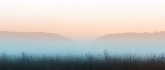 Fototapeta premium Serene Sunrise Fog Over Grassland And Distant Trees