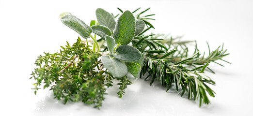 Aromatic herbs isolated on white background. Thyme, rosemary, sage salvia fresh green leaves for...