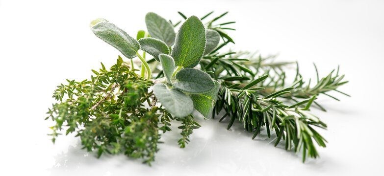 Aromatic herbs isolated on white background. Thyme, rosemary, sage salvia fresh green leaves for cooking. Aromatherapy oils ingredients. Close up. - Powered by Adobe