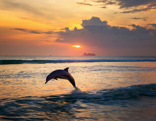 Fototapeta premium A graceful dolphin leaps through the air against a dramatic orange sunset sky over the ocean waves.