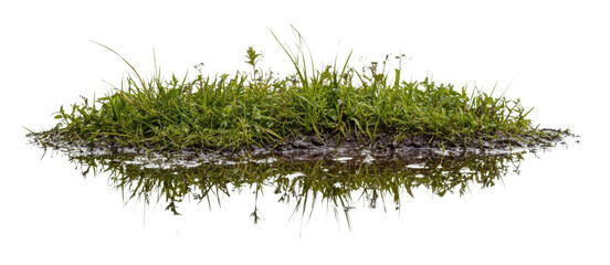Green grass mound by reflective water isolated on transparent background
