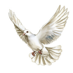 Obraz premium Majestic white dove in flight with outstretched wings against transparent background isolated png