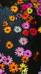 Floating Flowers in Vibrant Colors