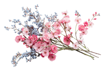 Close-up of pink and blue flowers isolated on transparent background