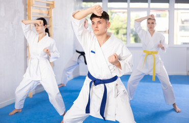 Group of men and women in kimonos train karate techniques in studio..