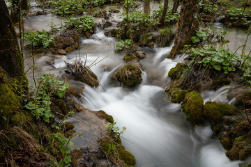 Obraz premium Plitvice Lakes National Park in Croatia, beautiful lakes and waterfalls between the green forest 